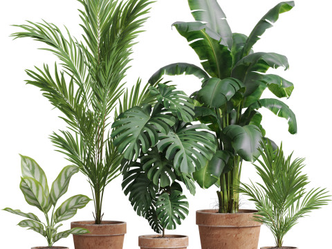 Plants collection 778 3D 모델