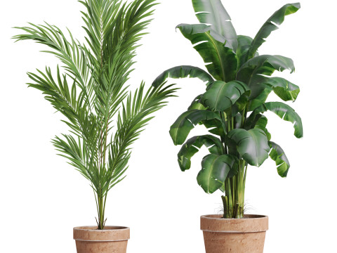 Plants collection 778 3D-Modell