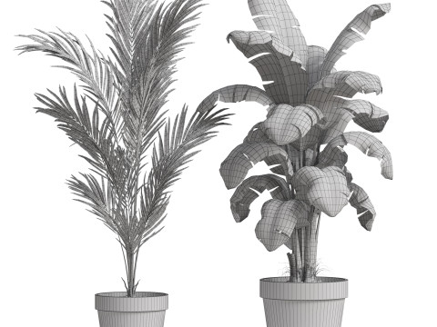 Plants collection 778 3D-Modell