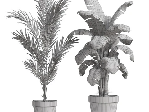 Plants collection 778 3D Model