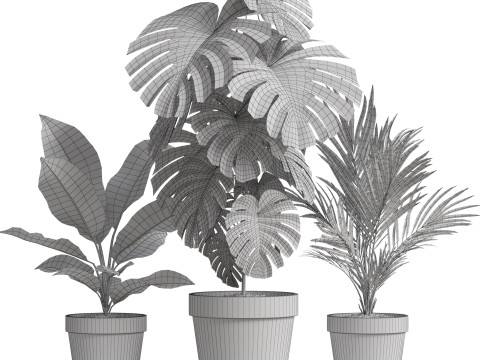 Plants collection 778 3D-Modell