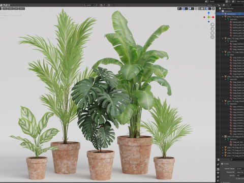 Plants collection 778 3D-Modell