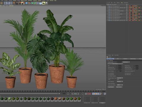 Plants collection 778 3D-Modell