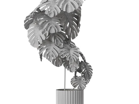 Plants collection 779 3D Model