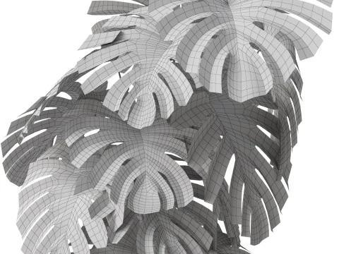 Plants collection 779 3D Model