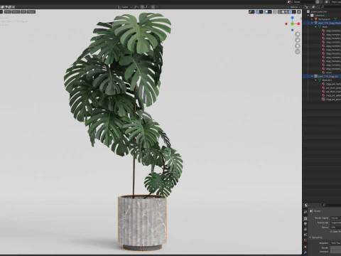 Plants collection 779 3D Model