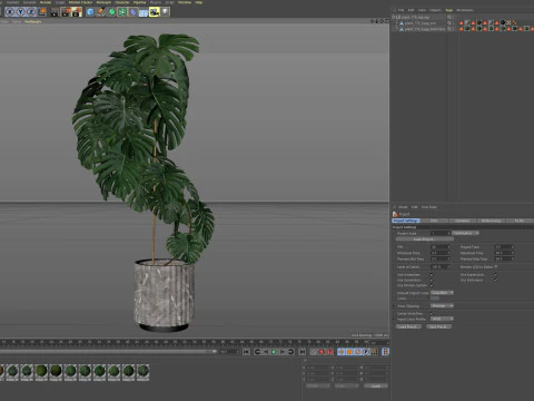 Plants collection 779 3D Model