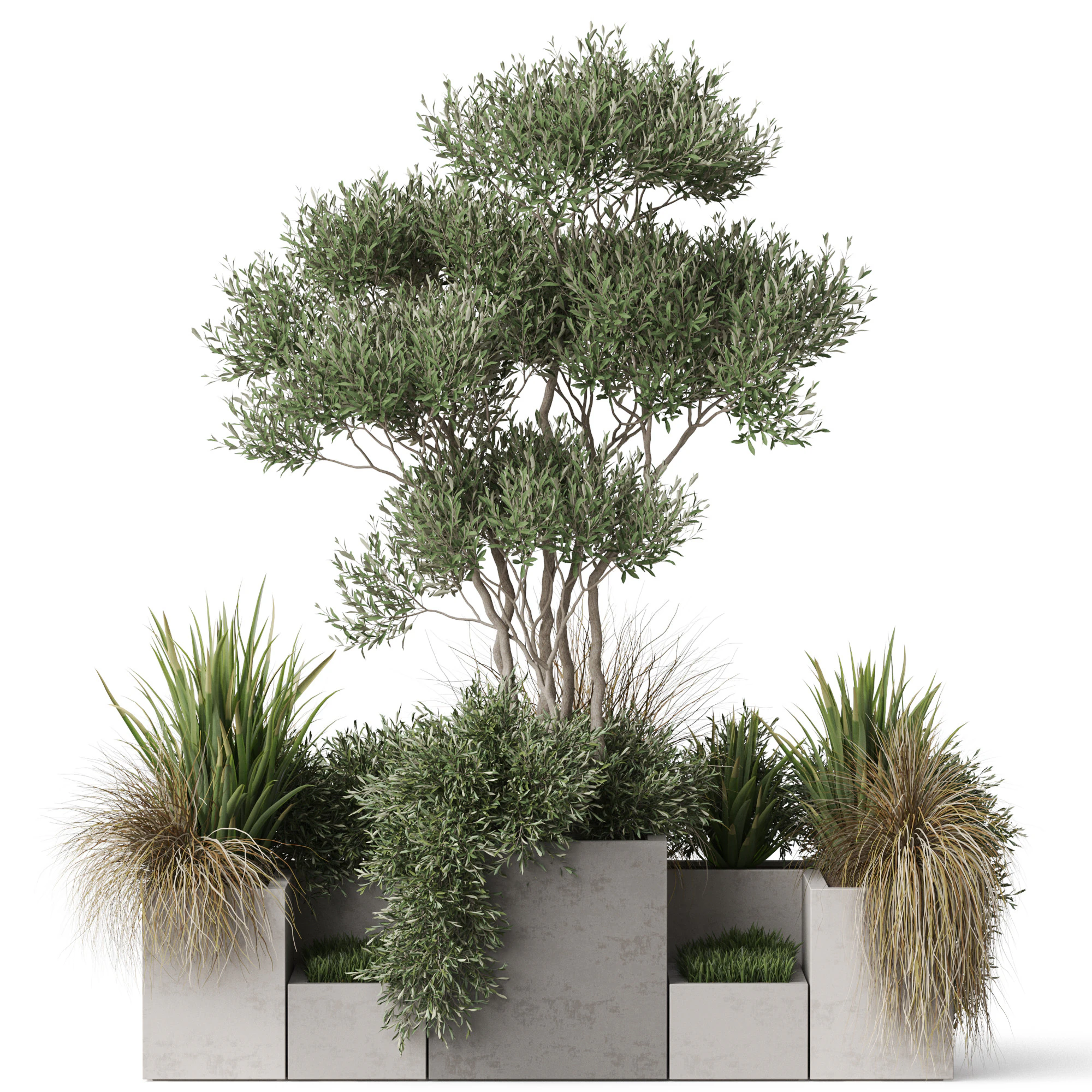 Plants collection 780 3D Model .c4d .max .obj .3ds .fbx .stl .blend 