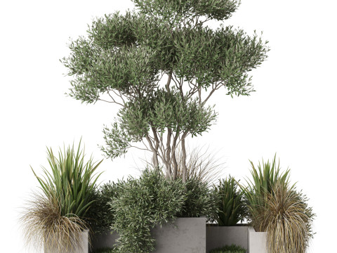 Plants collection 780 3D 모델