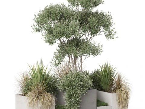 Plants collection 780 3D Model