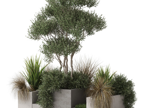 Plants collection 780 3D Model
