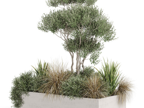 Plants collection 780 3D Model