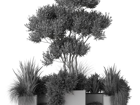 Plants collection 780 3D Model