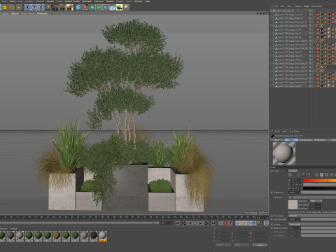 Plants collection 780 3D Model