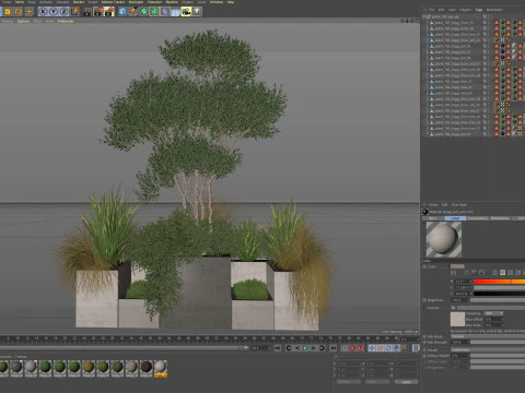Plants collection 780 3D Model