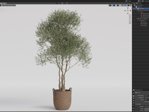 Plants collection 781 Modello 3D