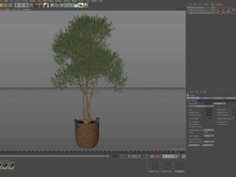 Plants collection 781 Modello 3D