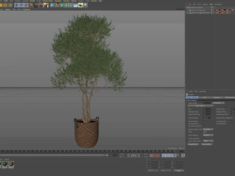 Plants collection 781 3D Model