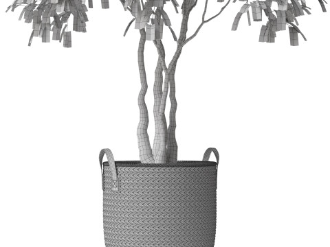 Plants collection 782 3D 모델
