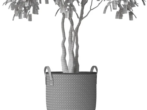 Plants collection 782 3D Model