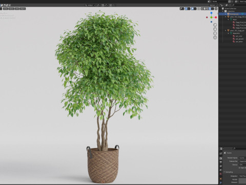 Plants collection 782 3D 모델