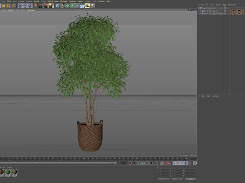 Plants collection 782 3D 모델