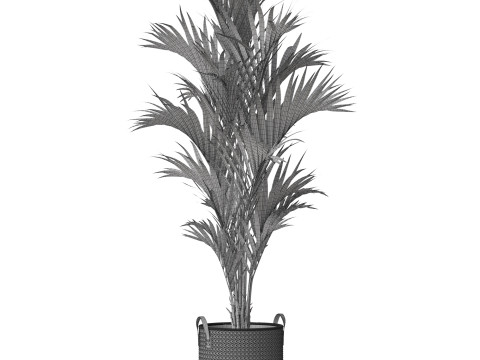 Plants collection 783 Model 3D
