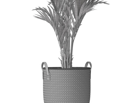 Plants collection 783 Model 3D