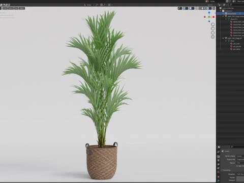 Plants collection 783 3D Model