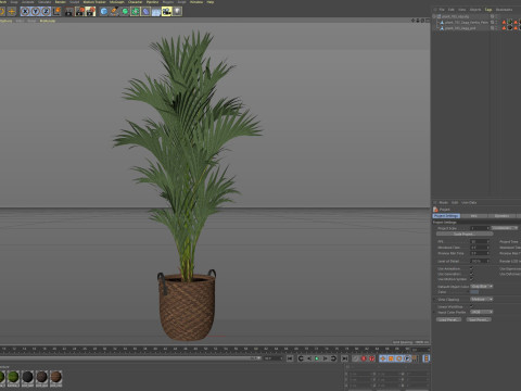 Plants collection 783 Model 3D