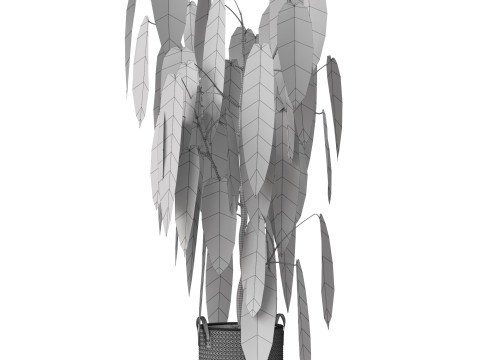 Plants collection 784 3D Model