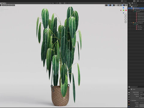 Plants collection 784 3D Model