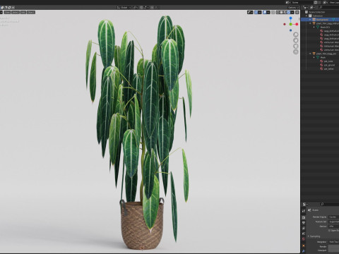 Plants collection 784 3D Model