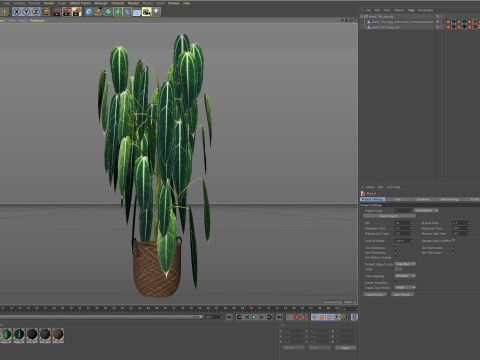 Plants collection 784 3D Model