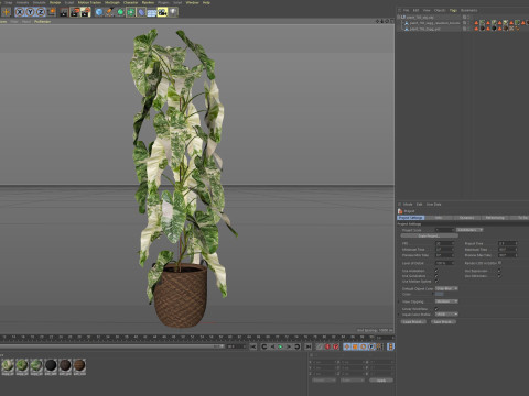 Plants collection 785 3Dモデル