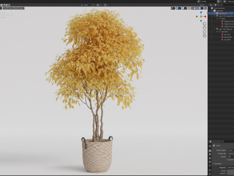Plants collection 786 3D मॉडल