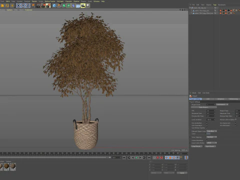 Plants collection 786 3D Model