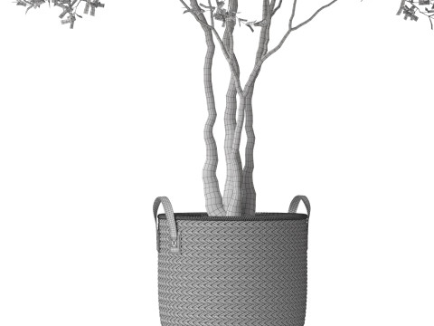Plants collection 787 Model 3D