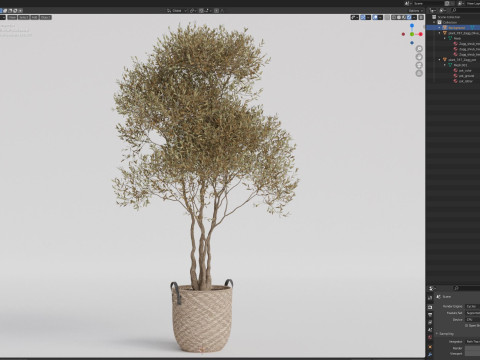 Plants collection 787 Model 3D