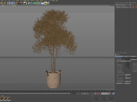 Plants collection 787 Model 3D