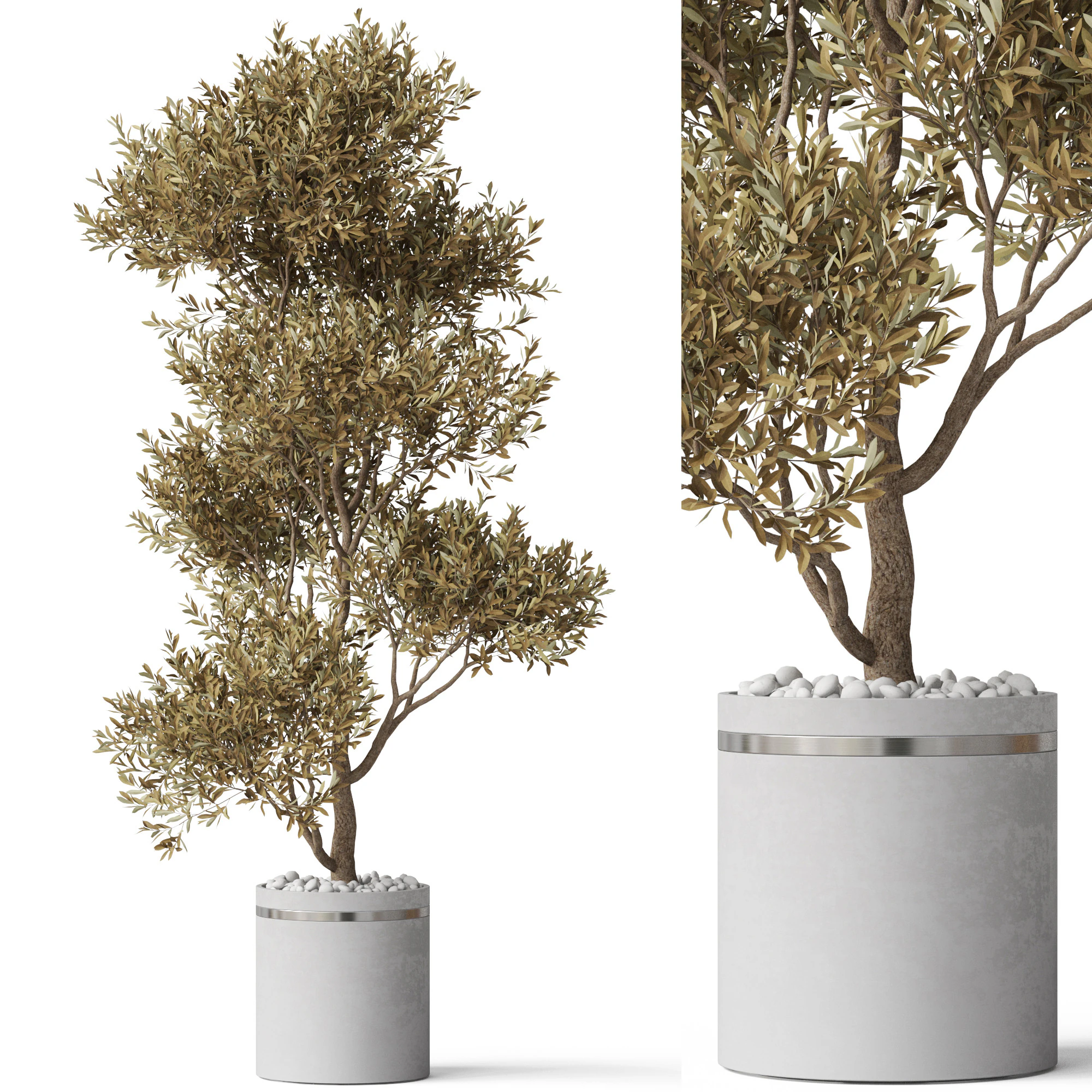 Plants collection 788 3D Model .c4d .max .obj .3ds .fbx .stl .blend 