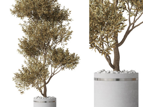 Plants collection 788 3D 모델