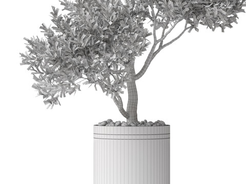 Plants collection 788 3Dモデル