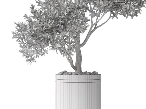 Plants collection 788 3D Model