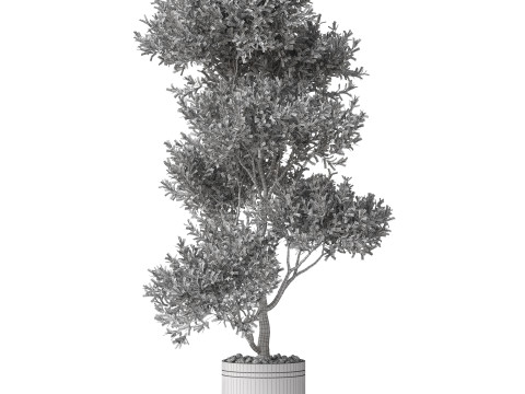 Plants collection 788 3Dモデル