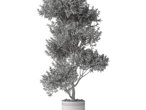 Plants collection 788 3D Model