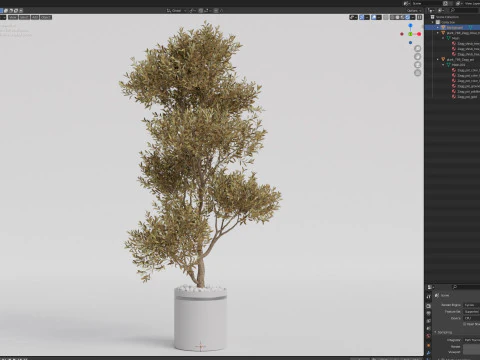 Plants collection 788 3D Model