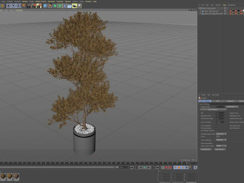 Plants collection 788 3D Model