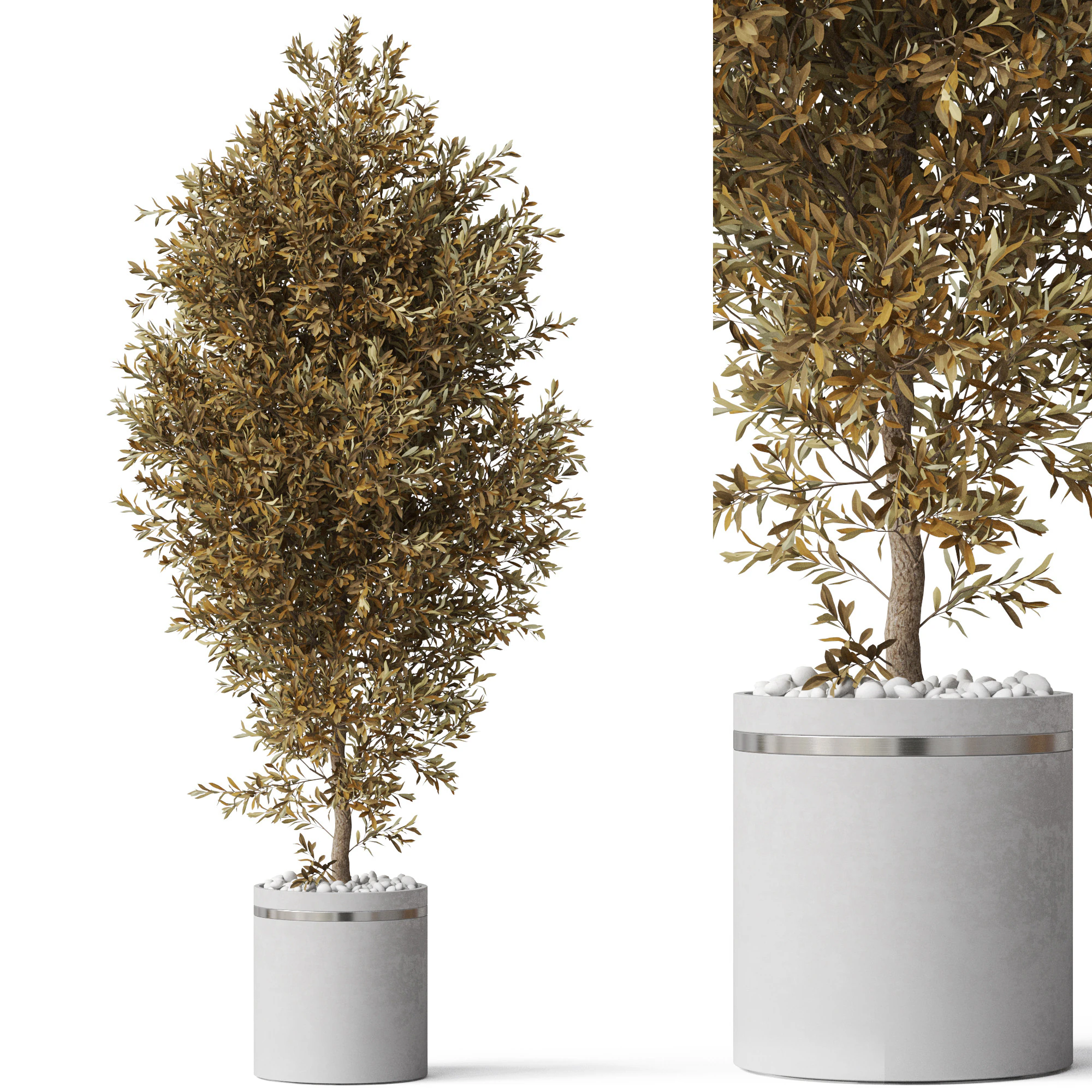 Plants collection 789 3D Model .c4d .max .obj .3ds .fbx .stl .blend