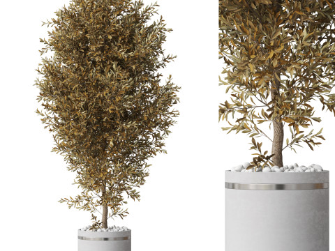Plants collection 789 3D 모델